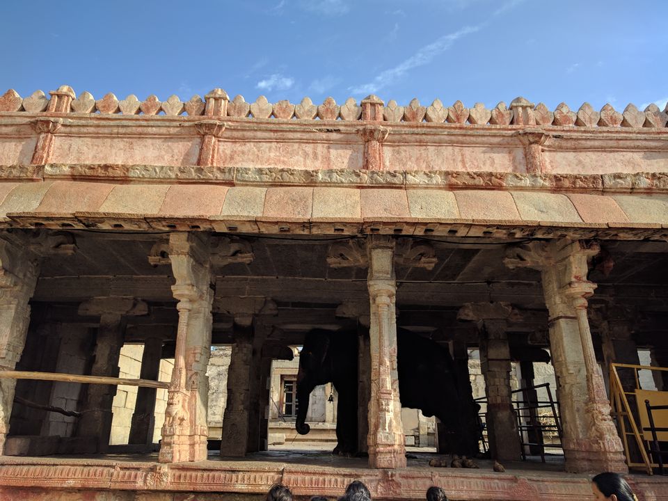 Photo of The Happy & The Hippie Hampi! 8/28 by Shruti Jain