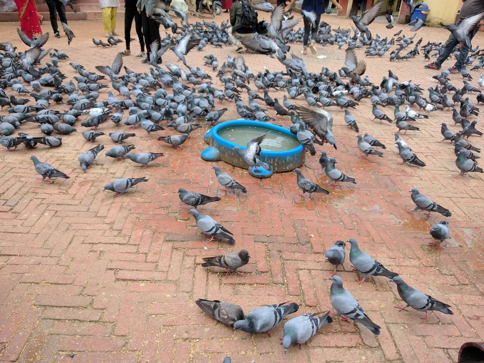 Photo of Nepalese Diaries: Kathmandu & Pokhara 10/31 by Shruti Jain