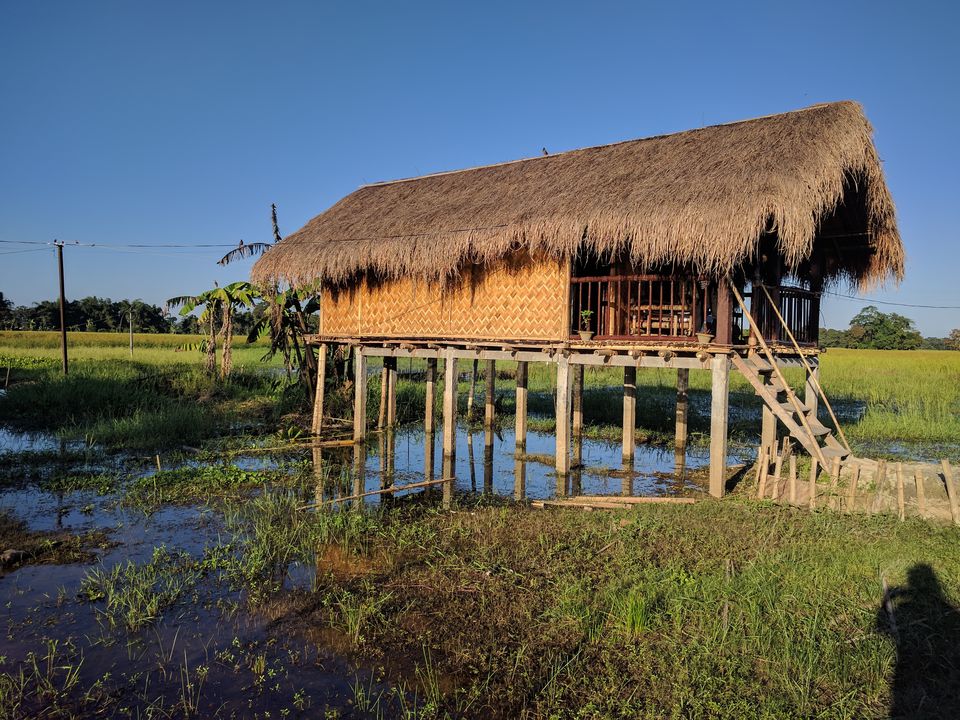 Photo of Majuli Island: Things To Do In The Largest River Island In The World 4/9 by Shruti Jain