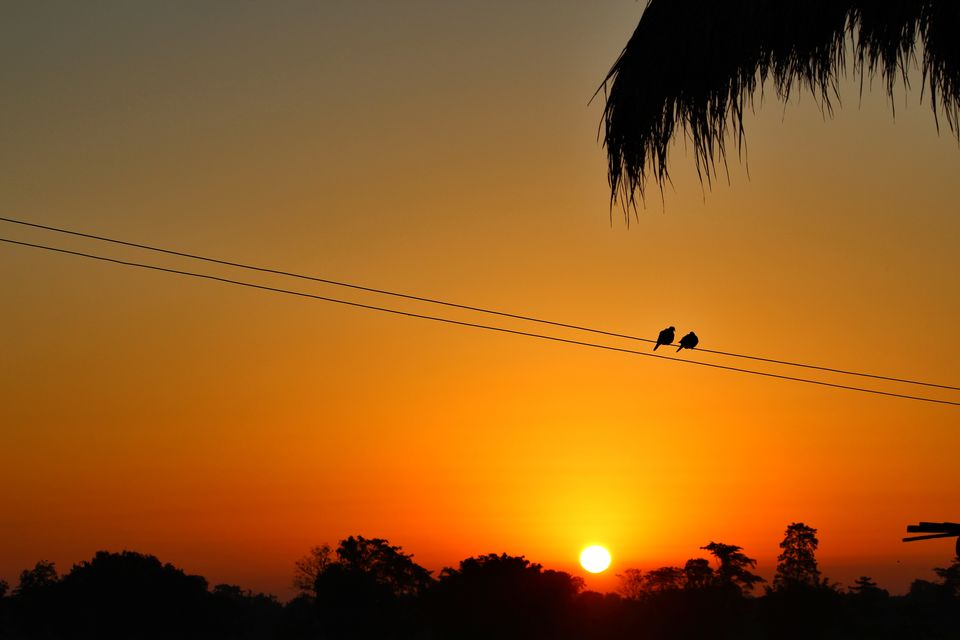 Photo of Majuli Island: Things To Do In The Largest River Island In The World 7/9 by Shruti Jain