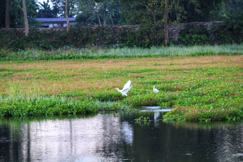 Photo of Majuli Island: Things To Do In The Largest River Island In The World 6/9 by Shruti Jain