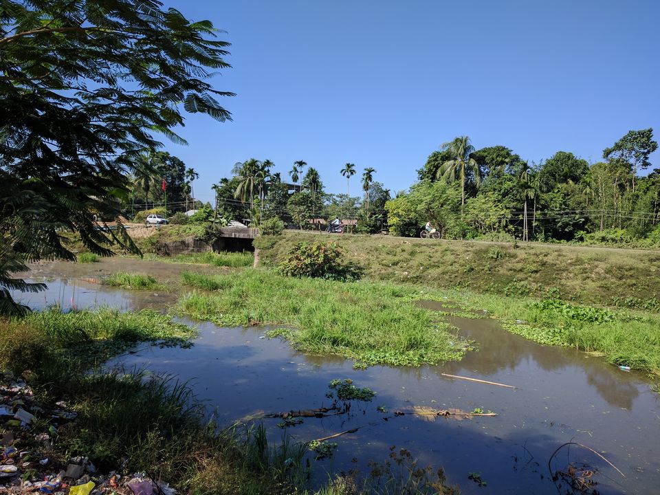 Photo of 5 Things to do in Kaziranga (Assam) 1/13 by Shruti Jain