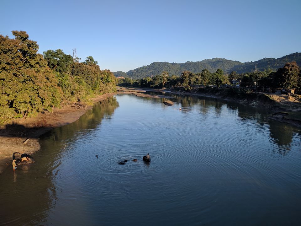 Photo of 5 Things to do in Kaziranga (Assam) 4/13 by Shruti Jain