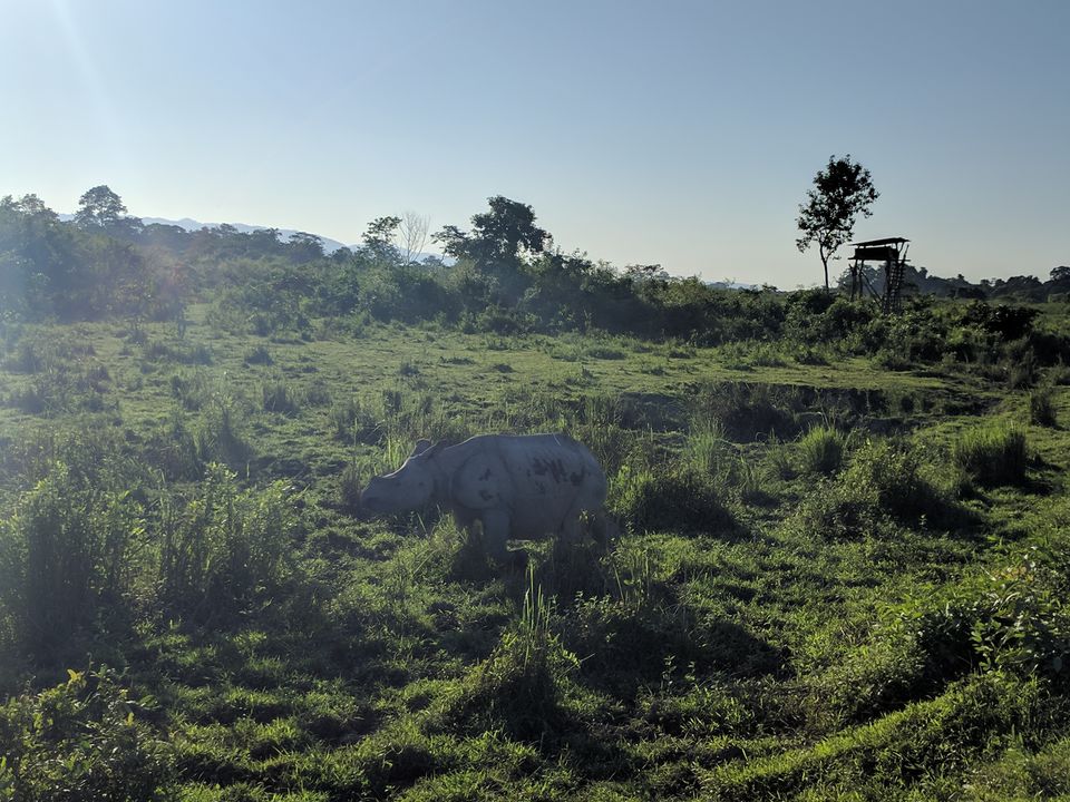 Photo of 5 Things to do in Kaziranga (Assam) 6/13 by Shruti Jain