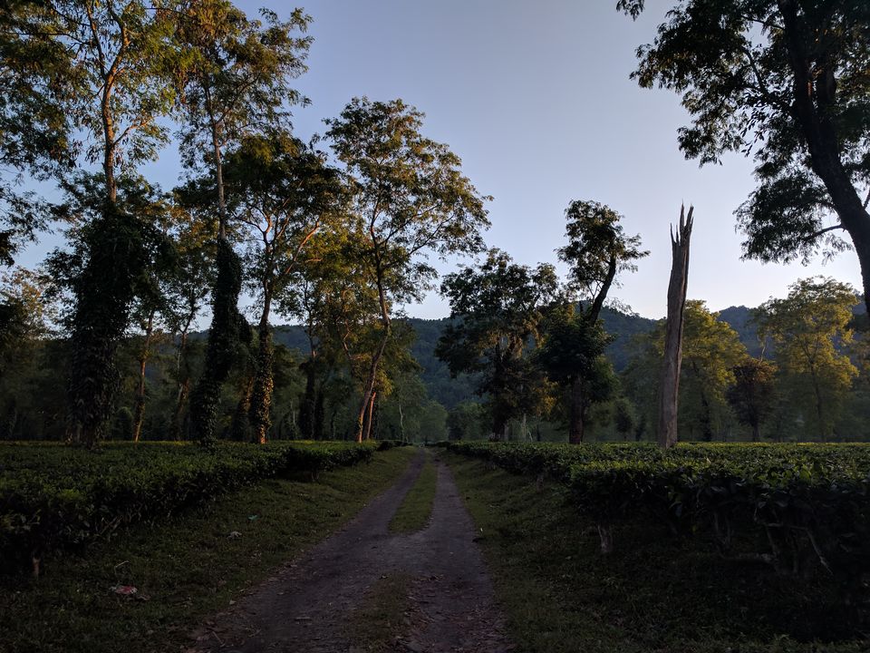 Photo of 5 Things to do in Kaziranga (Assam) 8/13 by Shruti Jain