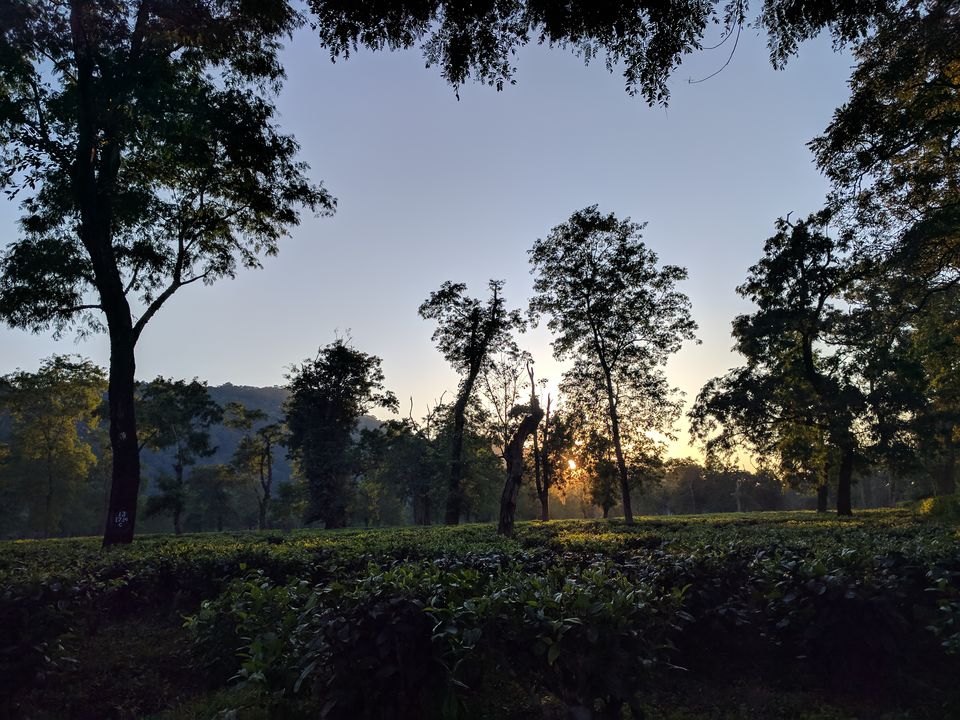 Photo of 5 Things to do in Kaziranga (Assam) 7/13 by Shruti Jain