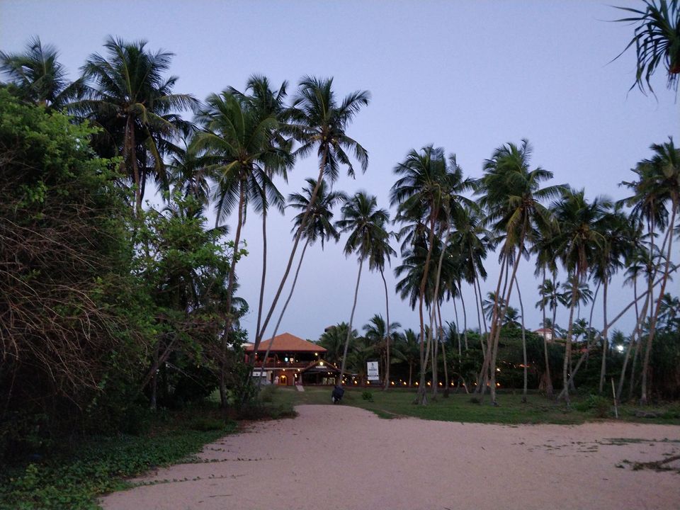 Photo of Things to do in Sri Lanka in 5 days (Southern Province) by Shruti Jain
