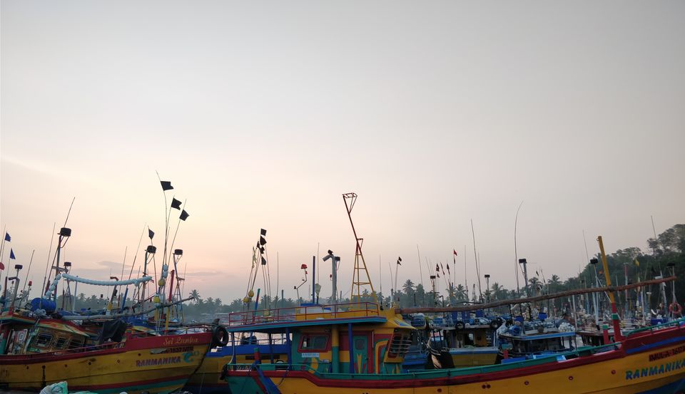 Photo of Things to do in Sri Lanka in 5 days (Southern Province) 17/18 by Shruti Jain