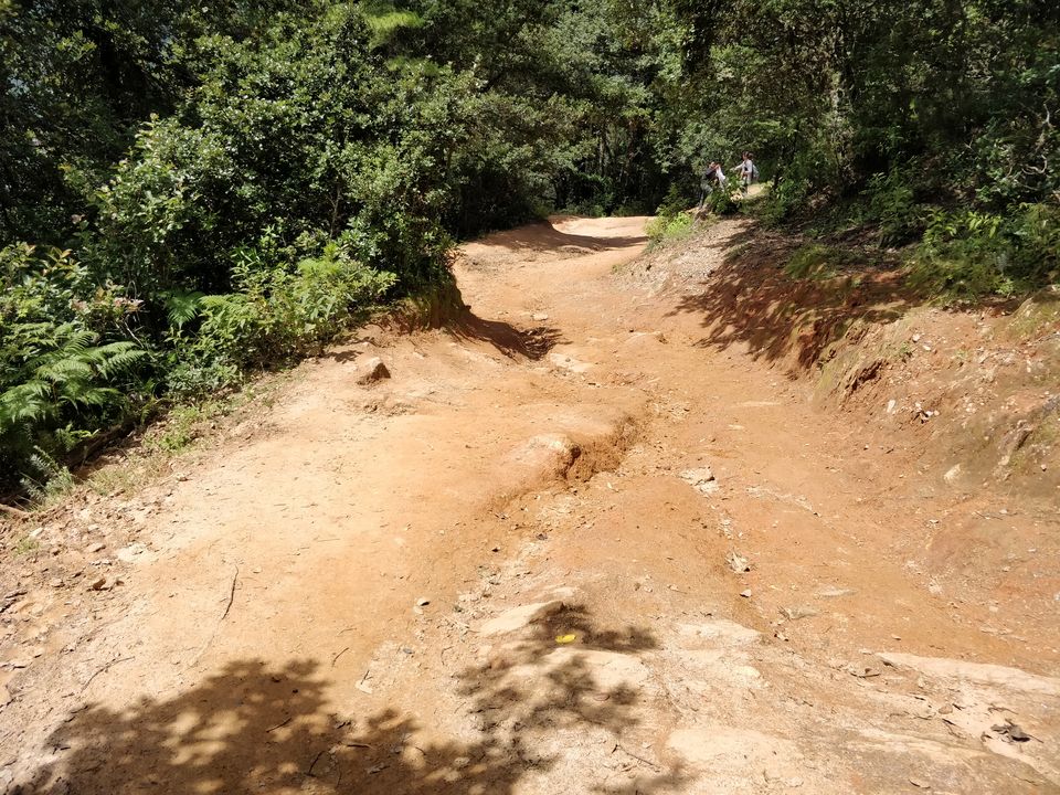 Photo of Tigers Nest Trekking Experience (Bhutan) by Shruti Jain