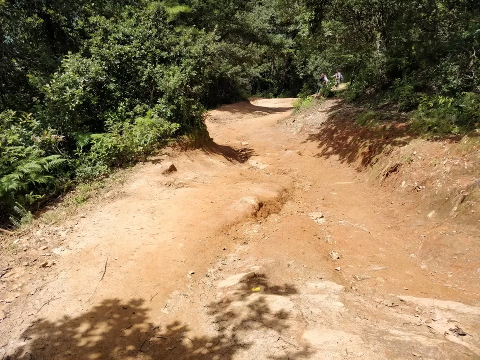 Photo of Tigers Nest Trekking Experience (Bhutan) by Shruti Jain
