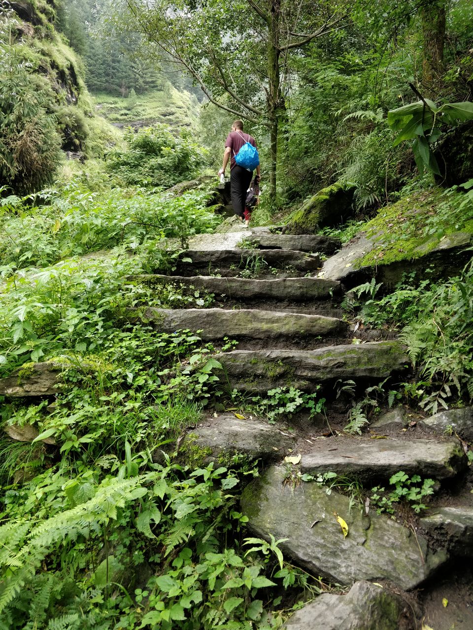 Photo of Trek to Jogini Waterfall 3/3 by Shruti Jain