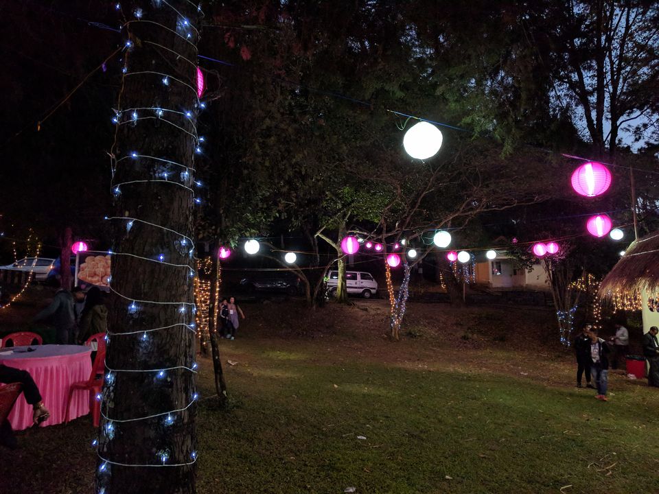Photo of International Cherry Blossoms Festival (Shillong) by Shruti Jain