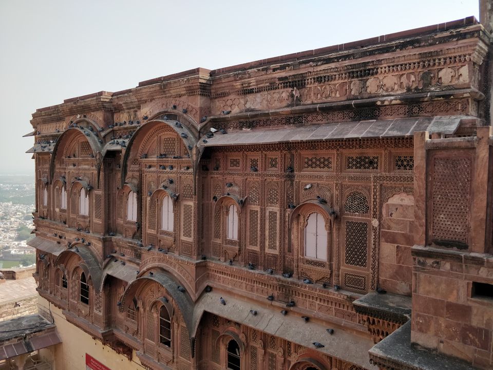 Photo of Mehrangarh Fort, The Fort, Sodagaran Mohalla, Jodhpur, Rajasthan, India by Shruti Jain