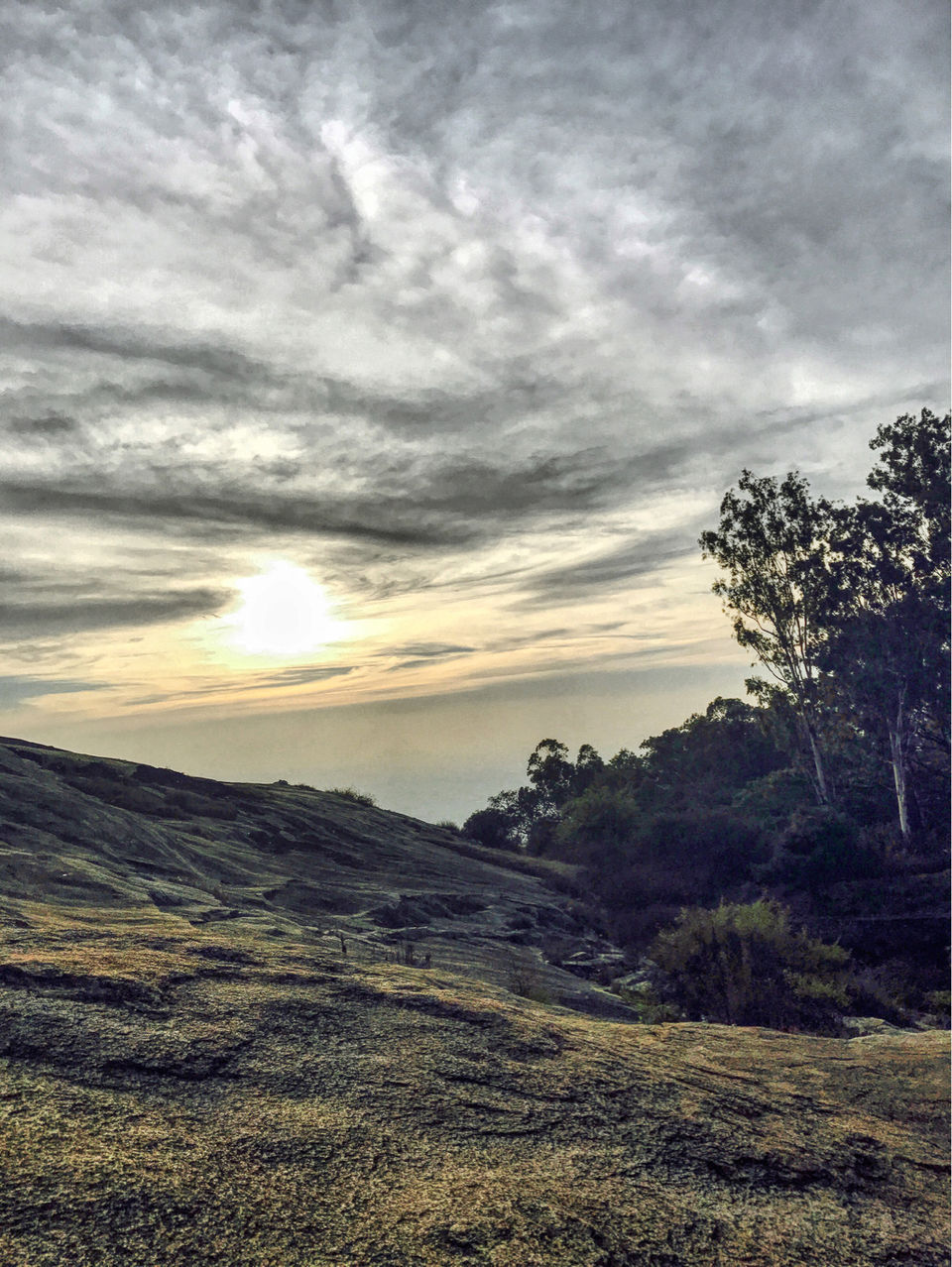 Photo of The Last Sunset of the Year! by Bhavya Shan