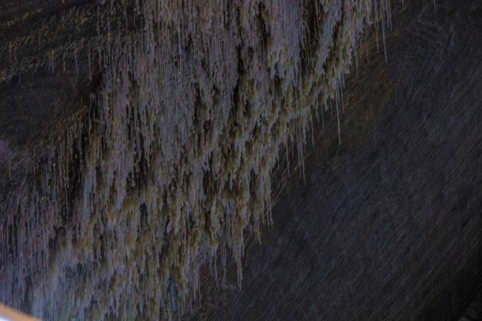 Photo of Boating at 370 feet down under: Romania beyond Dracula 4/9 by Ritu Sushila Krishan