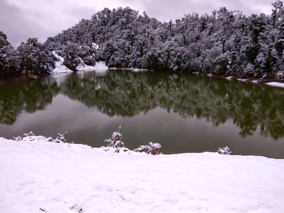 Photo of A budget journey to paradise: Chopta by Sachin Bhardwaj