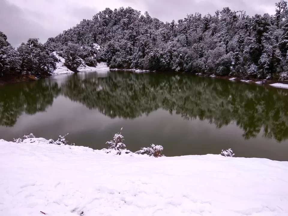 Photo of A budget journey to paradise: Chopta by Sachin Bhardwaj