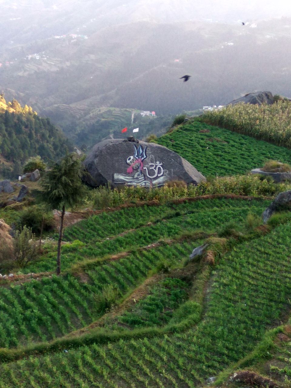 Photo of Churdhar ki Chandni; 3647mtrs summit by Sachin Bhardwaj