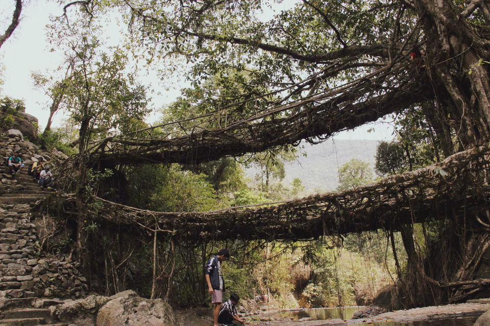 Photo of Mawlynnong, Meghalaya, India by deepanwita