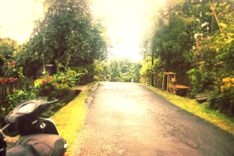 Photo of Nongriat, Meghalaya, India by deepanwita