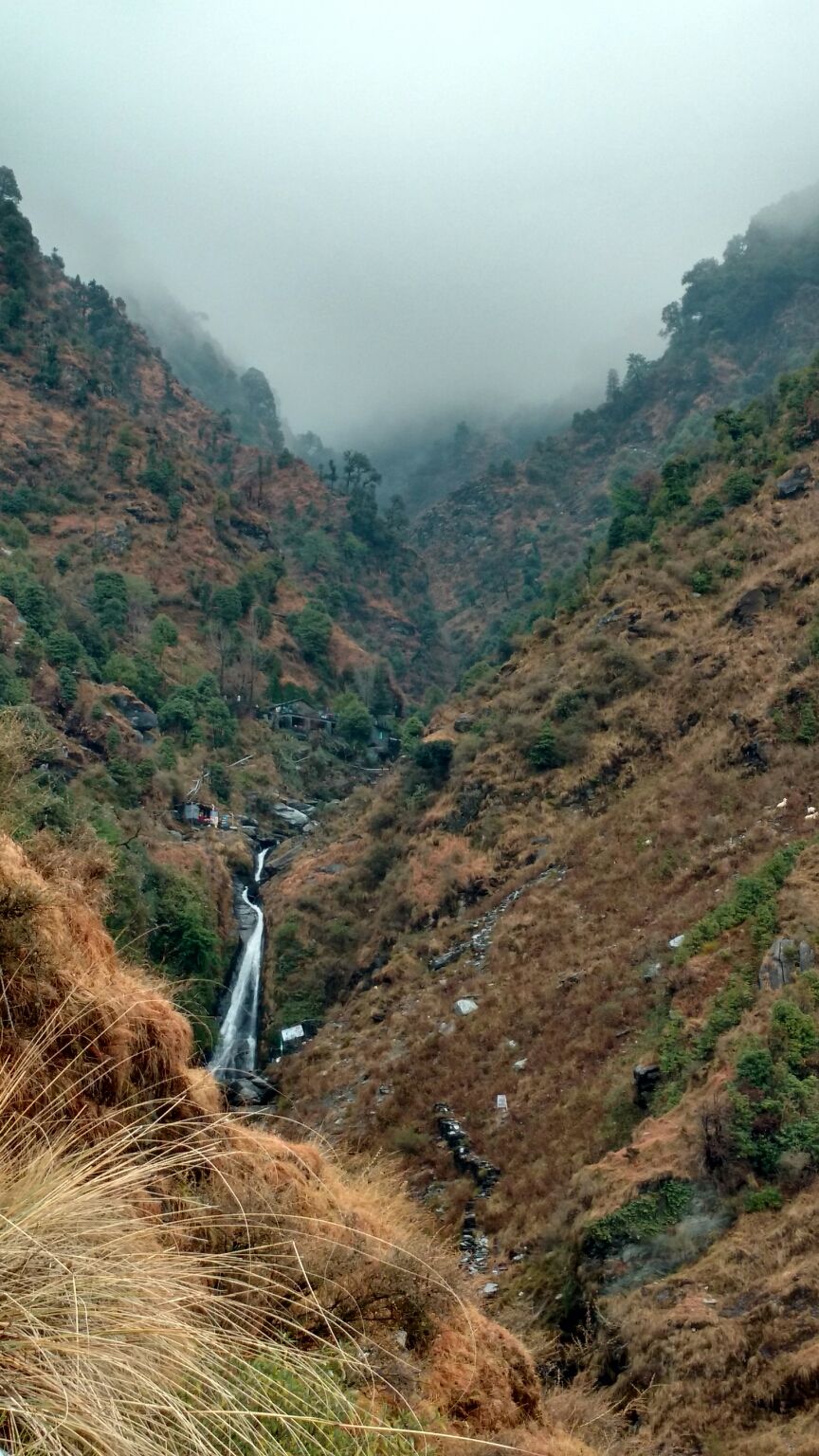 Photo of McLeod Ganj, Dharamshala, Himachal Pradesh, India by Anu Gupta