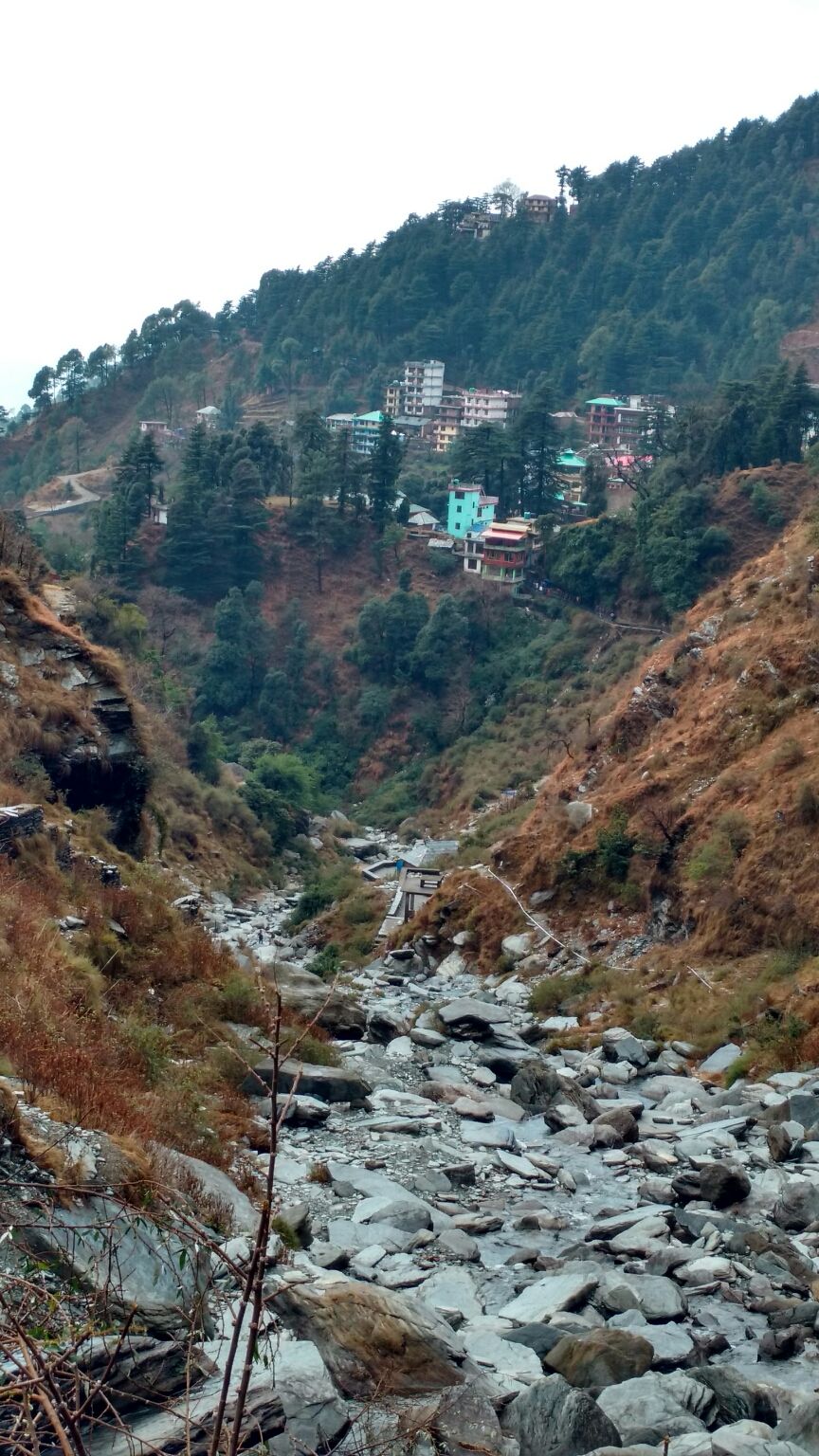 Photo of McLeod Ganj, Dharamshala, Himachal Pradesh, India by Anu Gupta