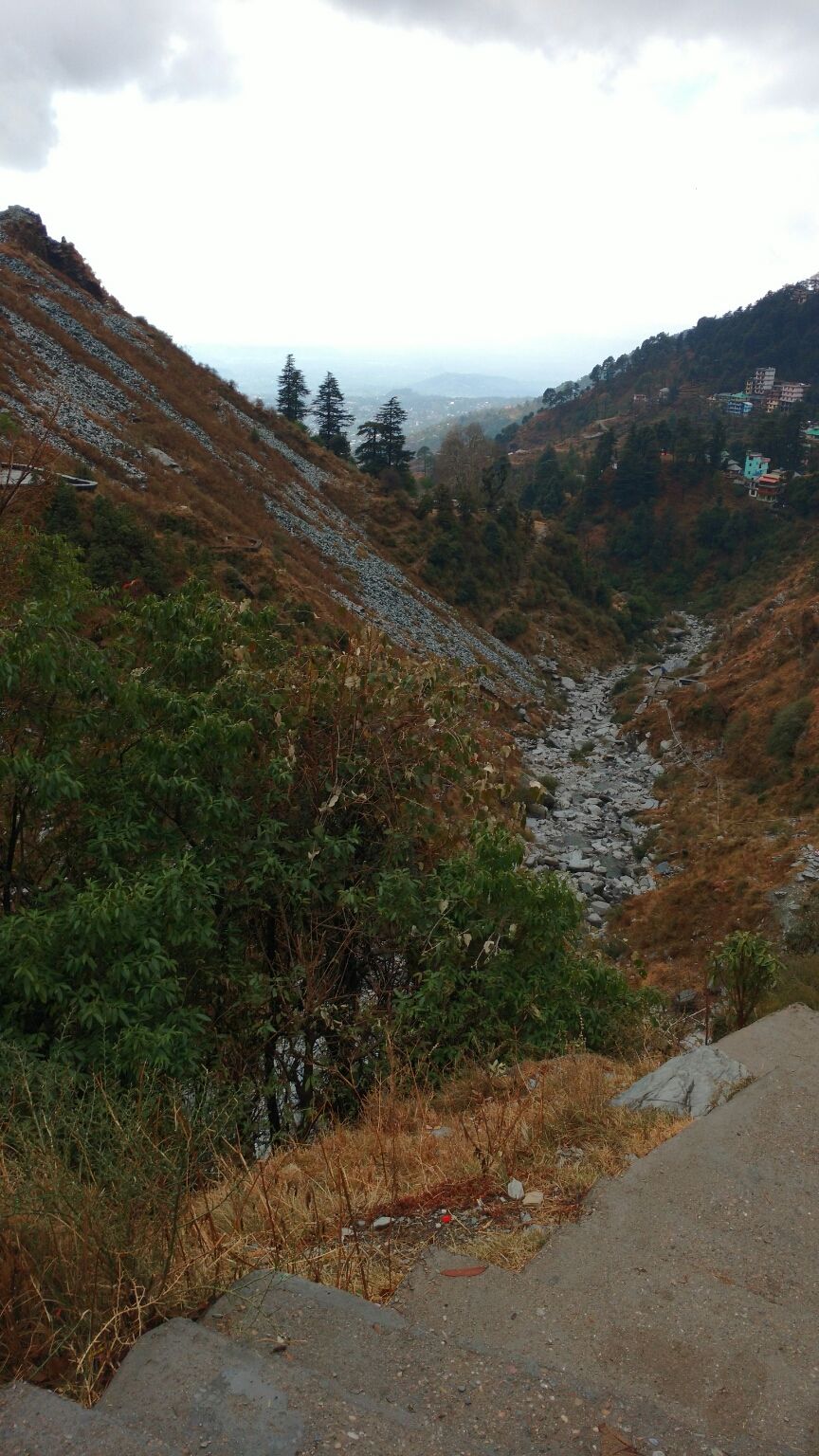 Photo of McLeod Ganj, Dharamshala, Himachal Pradesh, India by Anu Gupta