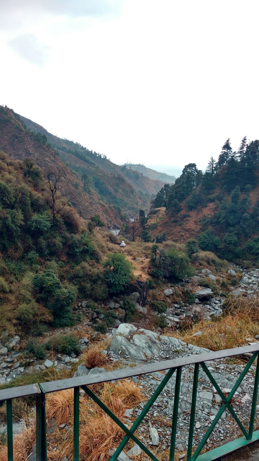Photo of McLeod Ganj, Dharamshala, Himachal Pradesh, India by Anu Gupta
