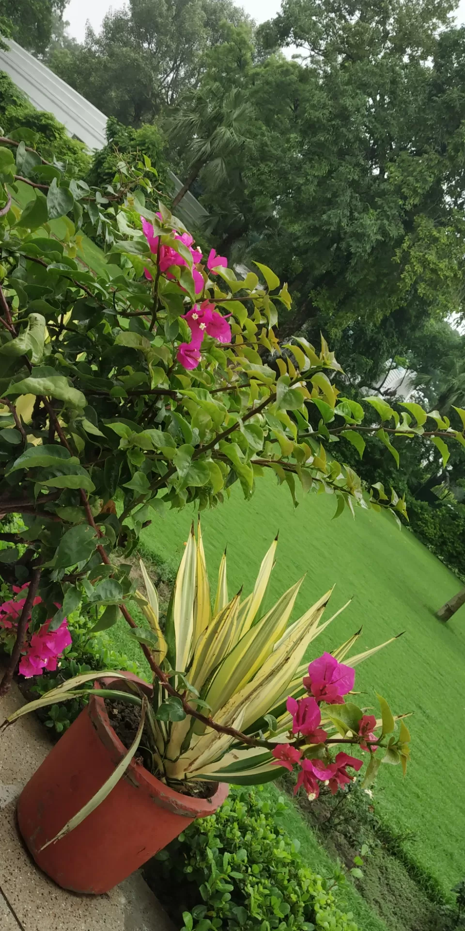 Photo of Indira Gandhi Memorial Museum, Safdarjung Lane Area, Tughlak Road Area, New Delhi, Delhi, India by Ambrish Varshney