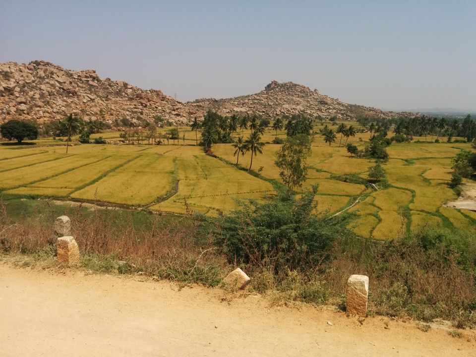 Photo of Don't Worry, Be Hampi ! 21/85 by Yashasvi Girdhar