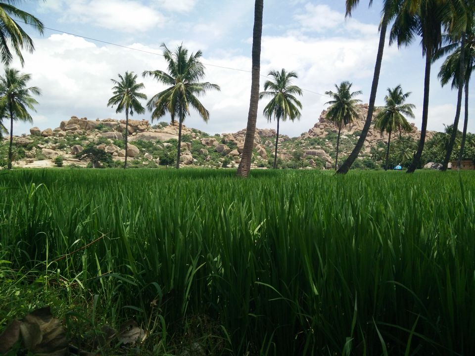 Photo of Don't Worry, Be Hampi ! 35/85 by Yashasvi Girdhar