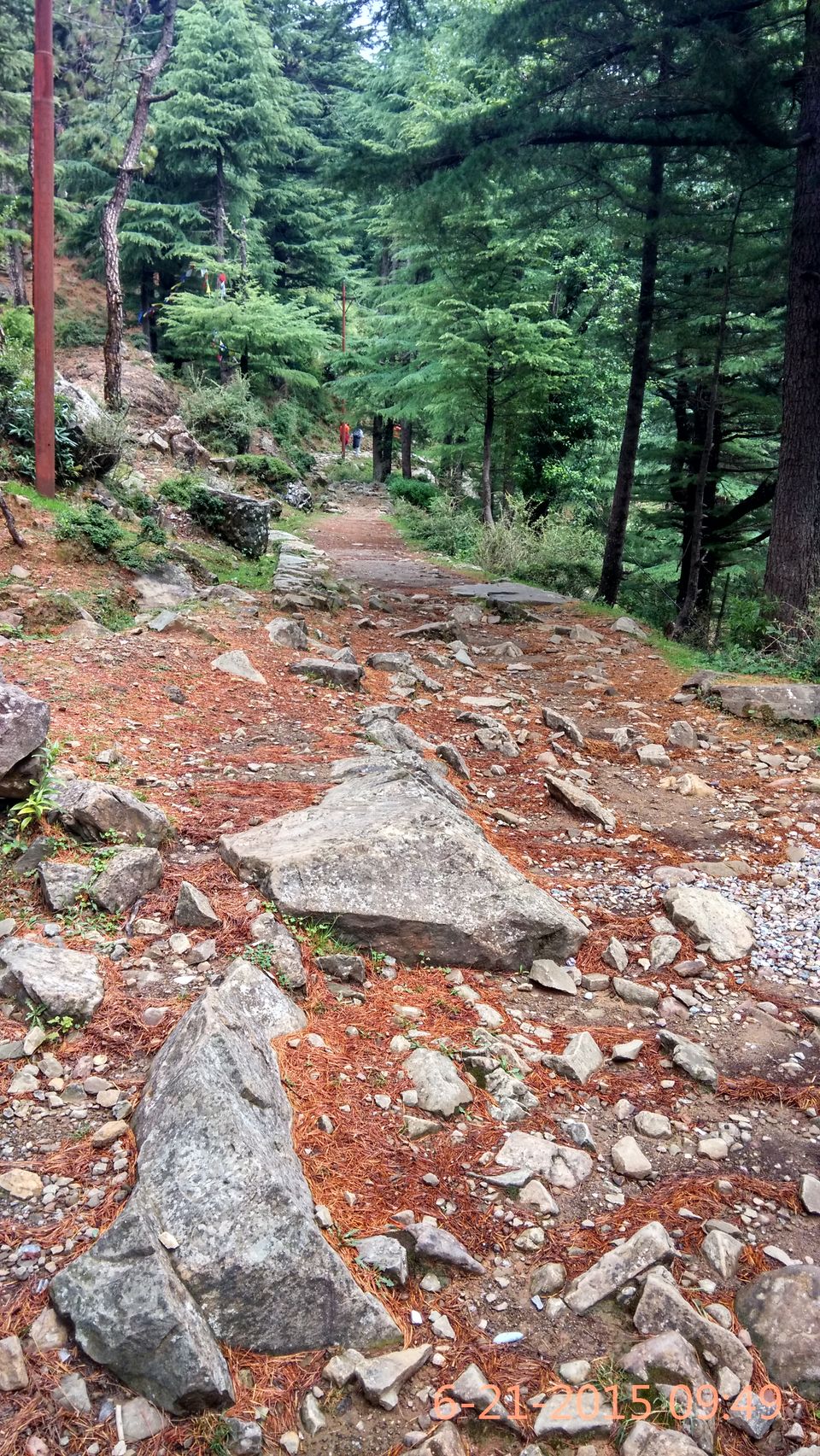 Photo of Trek to Triund: My story and a complete guide 2/36 by Yashasvi Girdhar