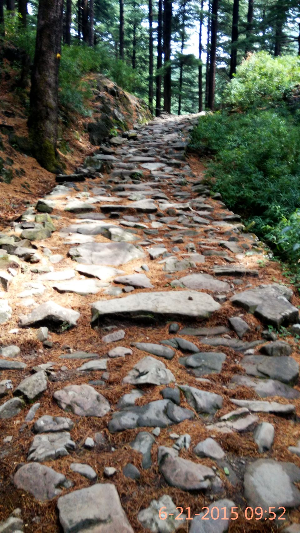 Photo of Trek to Triund: My story and a complete guide 3/36 by Yashasvi Girdhar