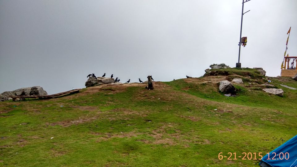 Photo of Trek to Triund: My story and a complete guide 16/36 by Yashasvi Girdhar