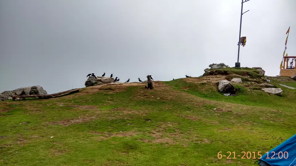 Photo of Triund, Kangra, Himachal Pradesh, India by Yashasvi Girdhar