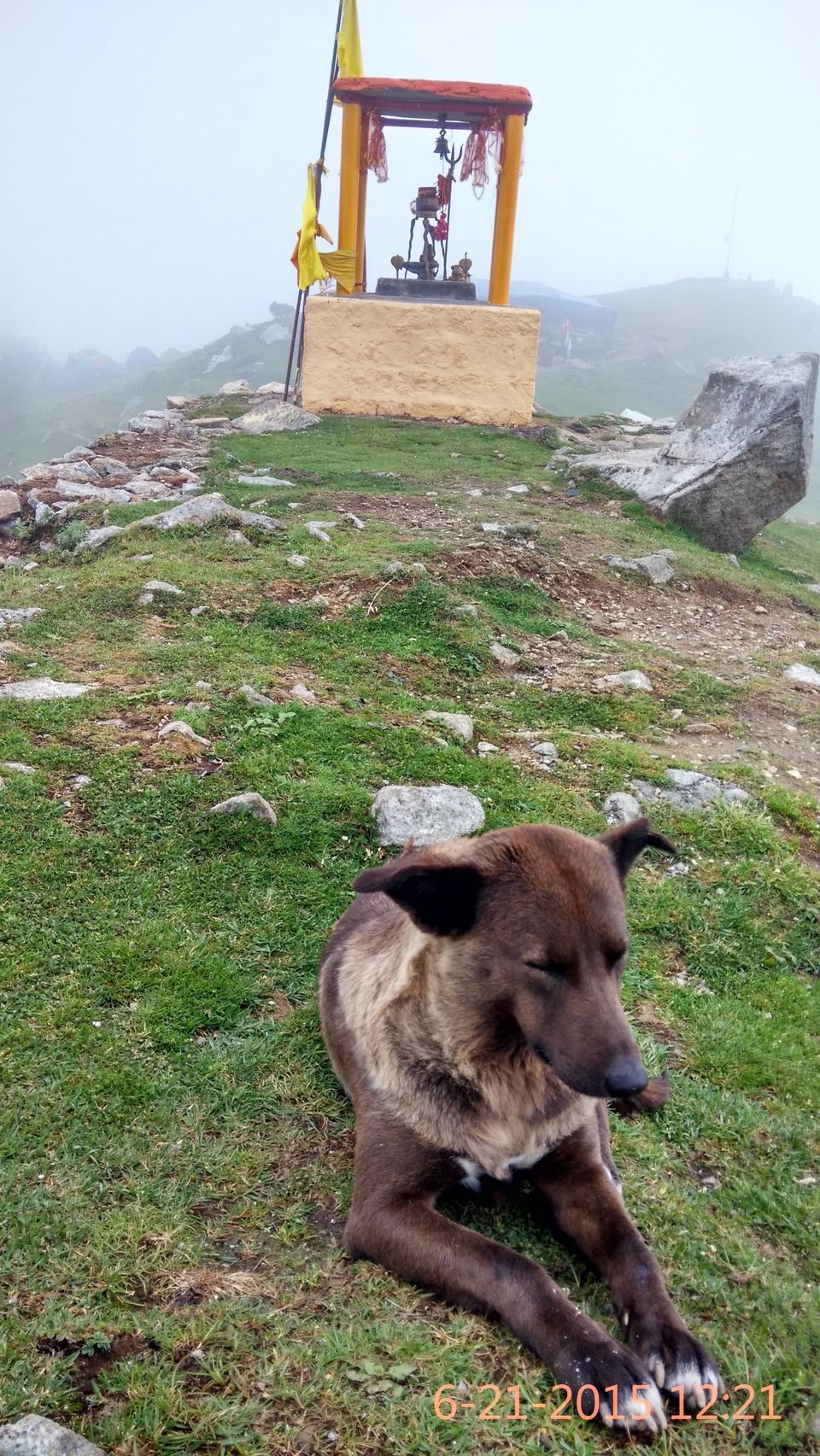 Photo of Trek to Triund: My story and a complete guide 17/36 by Yashasvi Girdhar