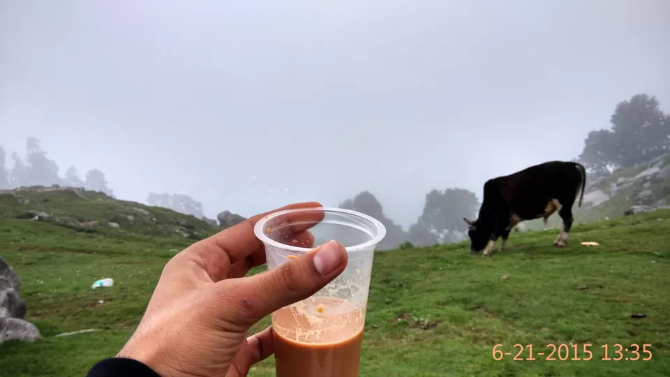 Photo of Triund, Kangra, Himachal Pradesh, India by Yashasvi Girdhar