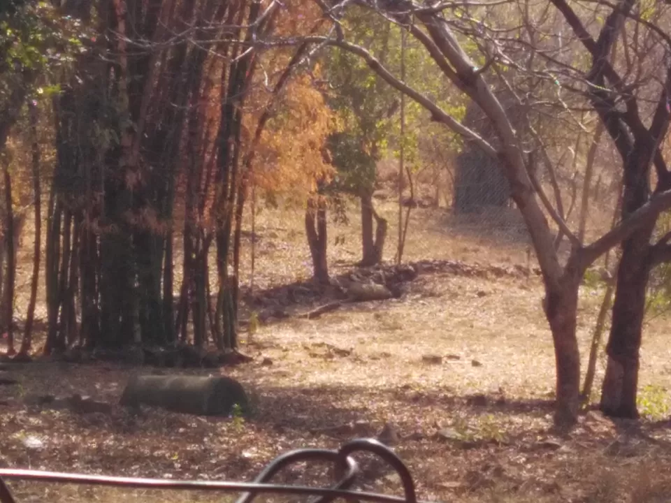 Photo of Van Vihar National Park, Shymala Hills, Bhopal, Madhya Pradesh, India by Worthwhile Travel Itineraries 