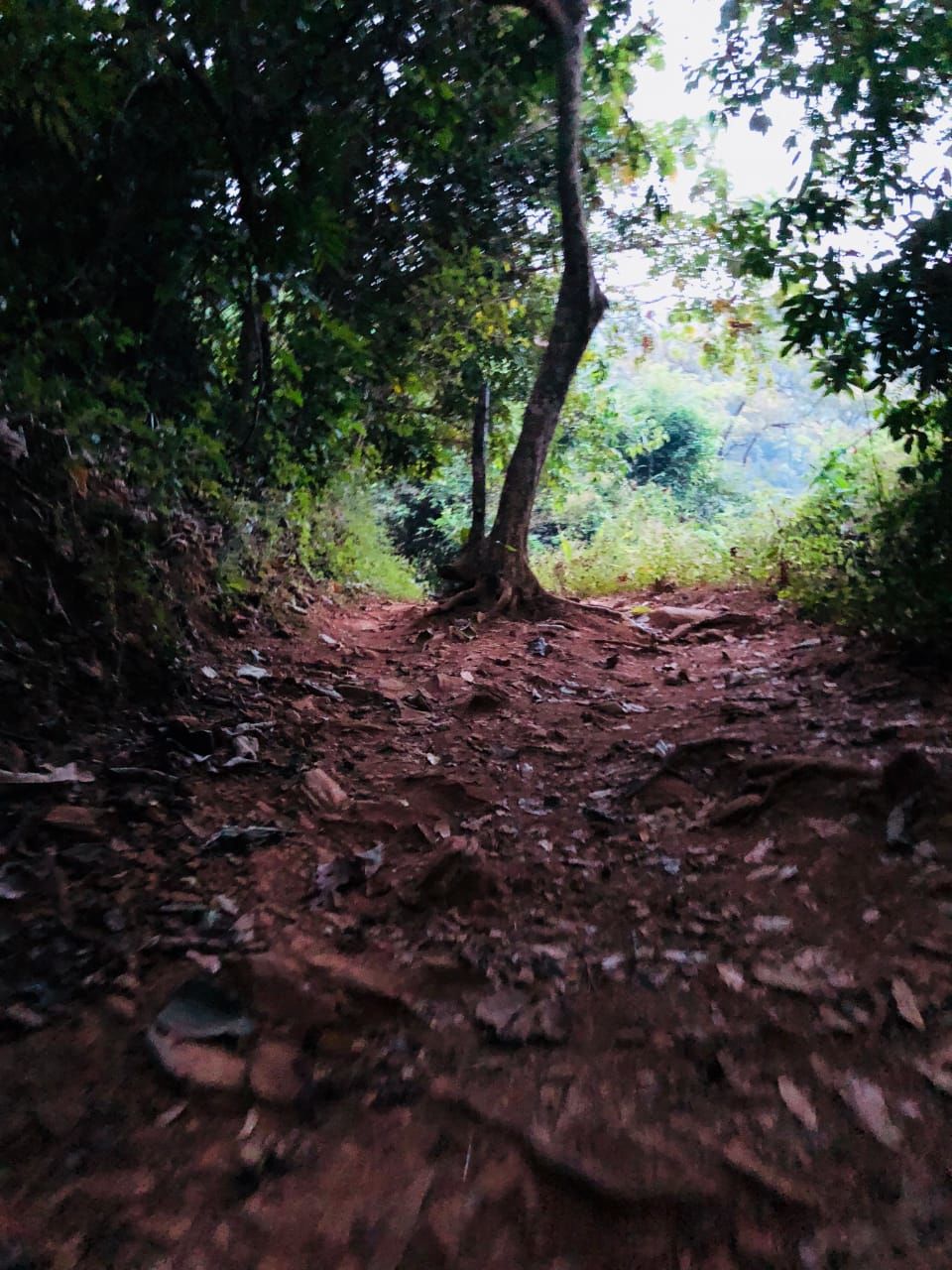 Photo of Gokarna and Vibhuti Fall Trek 8/12 by Worthwhile Travel Itineraries
