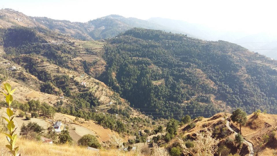 Photo of Naldehra - The Hidden Treasure of Himachal by Harshad gandhi