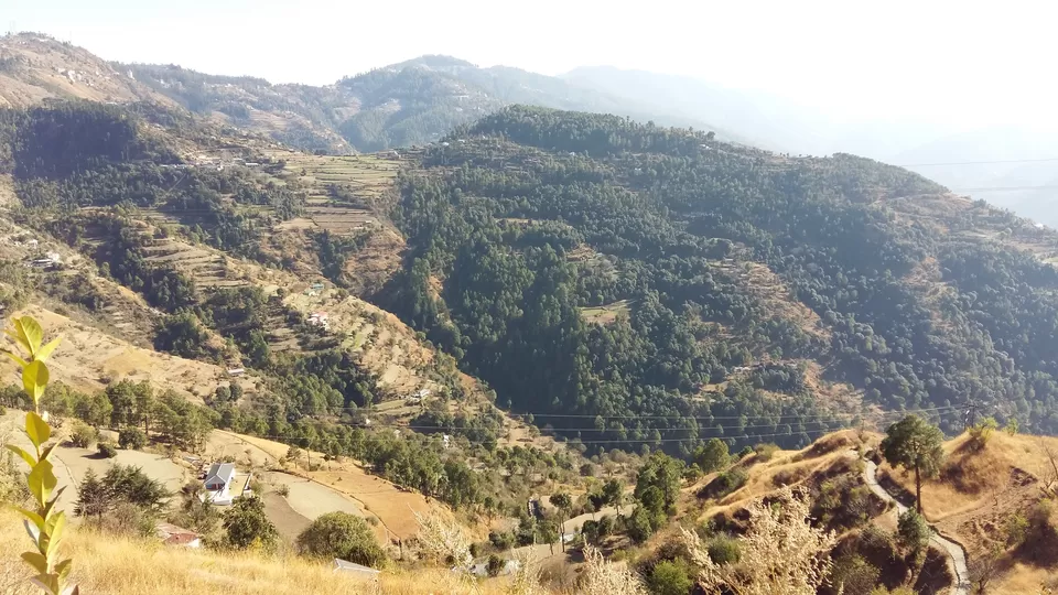 Photo of Naldehra - The Hidden Treasure of Himachal by Harshad gandhi