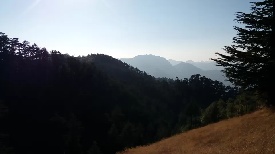 Photo of Naldehra - The Hidden Treasure of Himachal by Harshad gandhi
