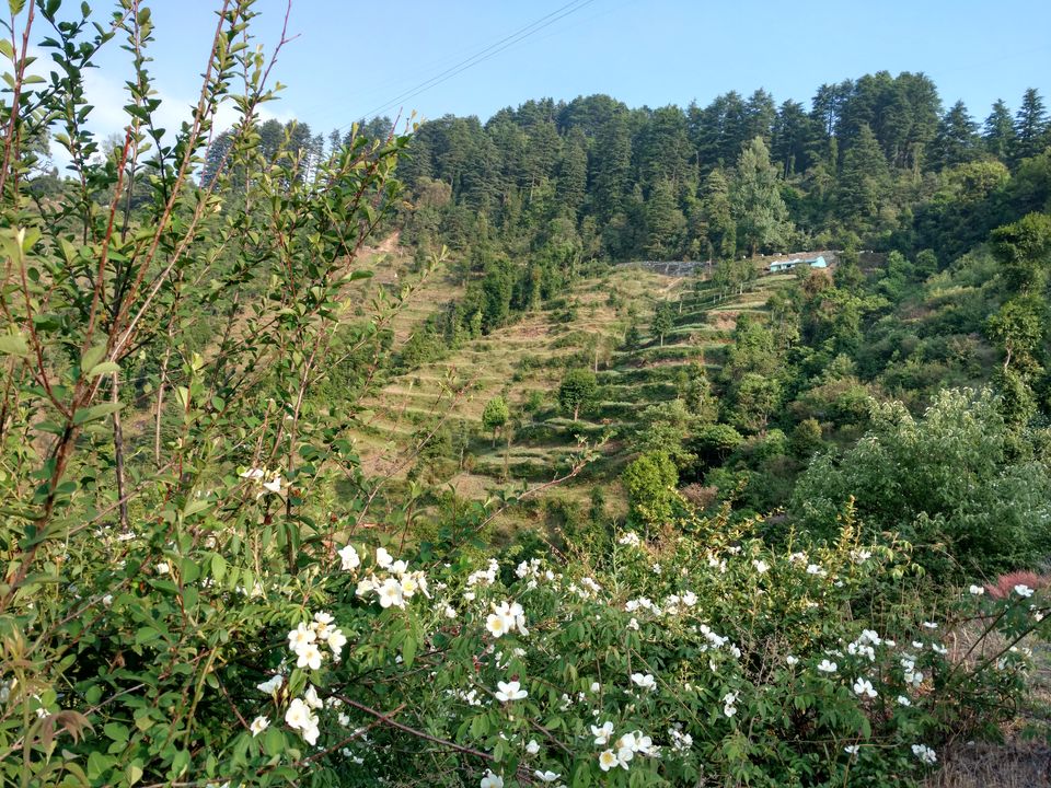 Photo of The adrenaline and serenity of the hills of Uttarakhand 5/13 by Kabir Kukreti