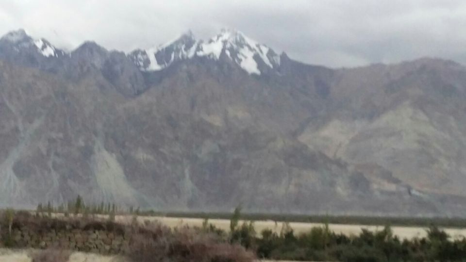 Photo of Sumur, Nubra Valley, Sumur, Jammu and Kashmir 194401 by Amit Kumar Sharma