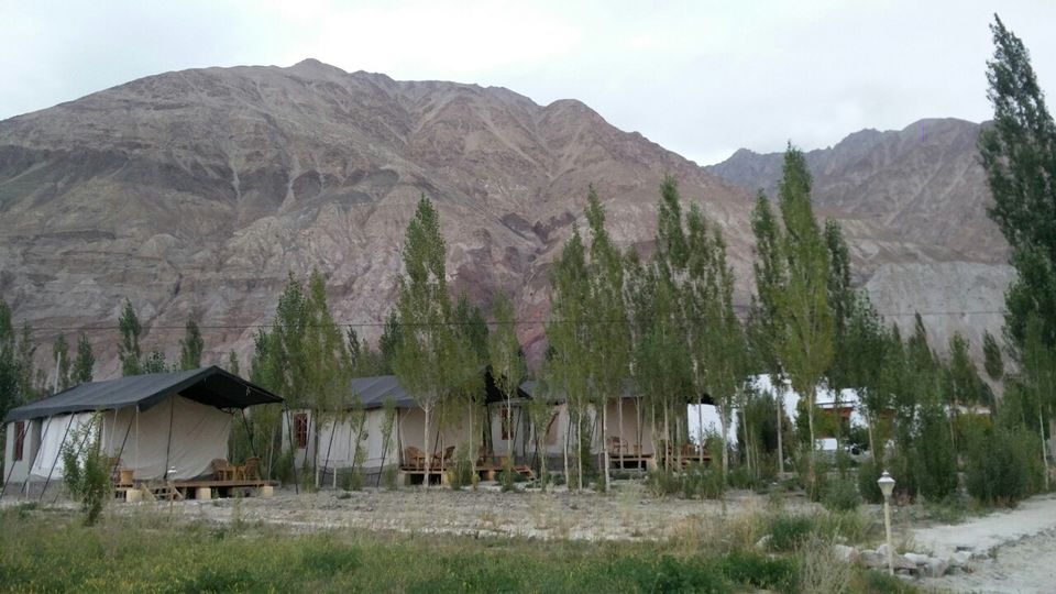 Photo of Sumur, Nubra Valley, Sumur, Jammu and Kashmir 194401 by Amit Kumar Sharma