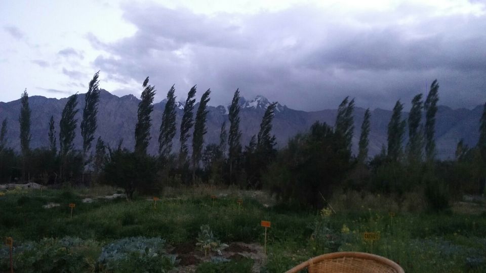 Photo of Sumur, Nubra Valley, Sumur, Jammu and Kashmir 194401 by Amit Kumar Sharma