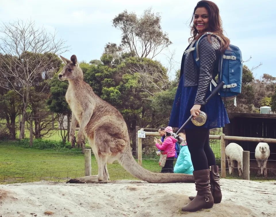 Photo of Melbourne - What makes it the best! by Khyati Modak