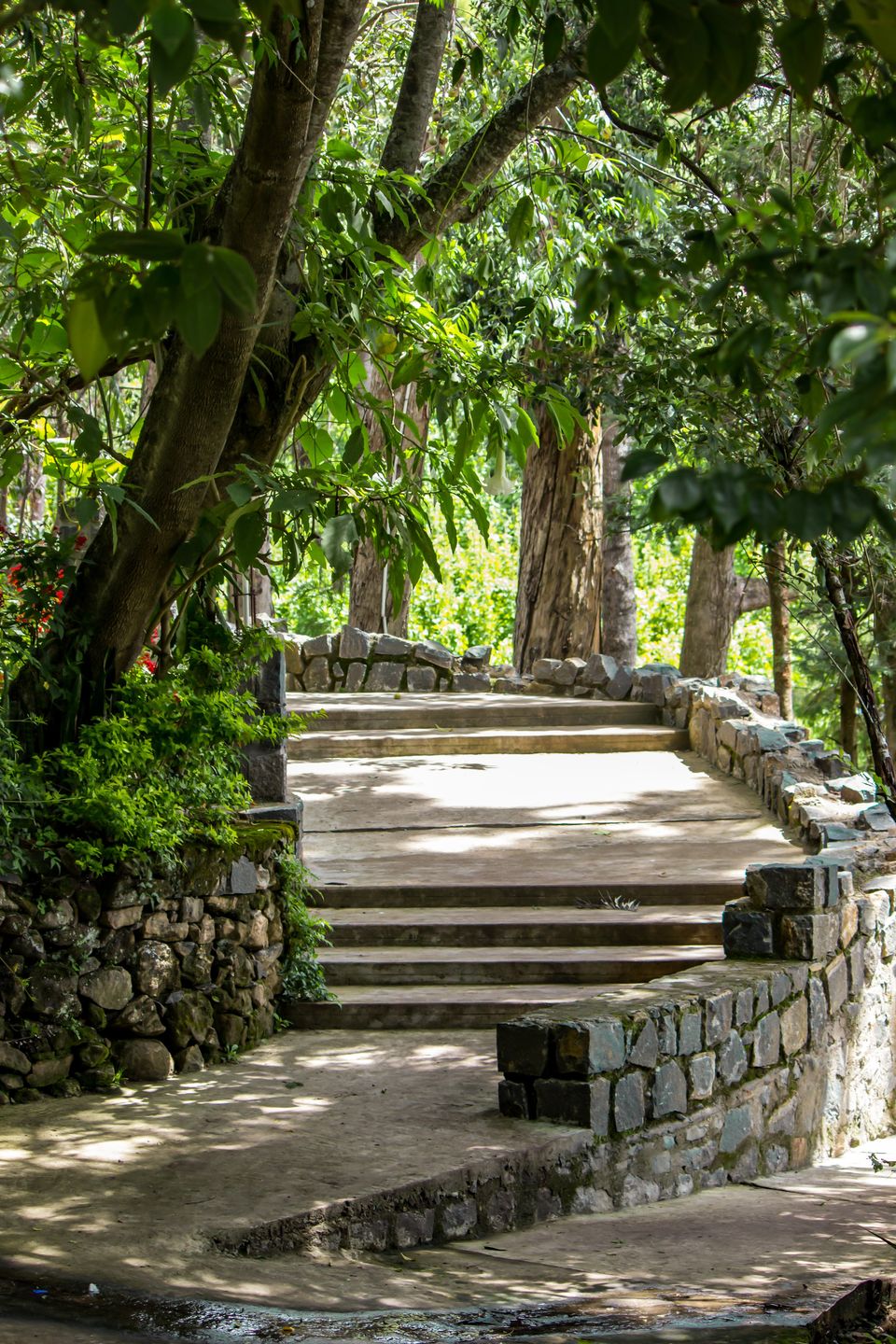 Photo of Photogenic Resort in Kodaikanal #luxurygetaway by Mamtha Ramachandra