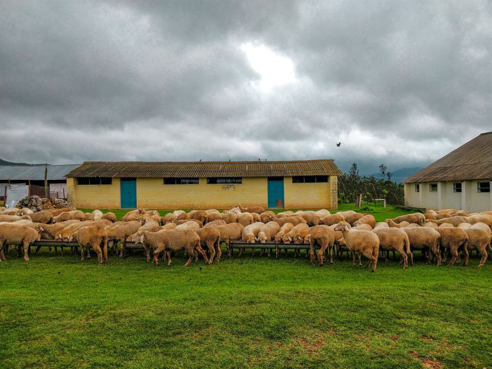 Photo of Mannavanur, Tamil Nadu, India by Mamtha Ramachandra