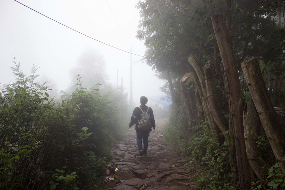 Photo of Vattakanal, Kodaikanal, Tamil Nadu, India by Mamtha Ramachandra